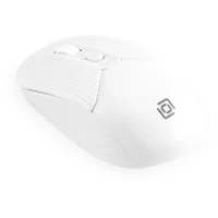 Мышь Oklick 509MW (белый) фото 5